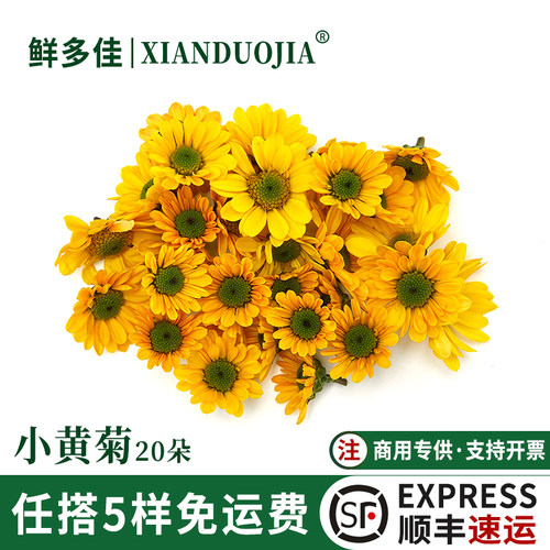 新鲜小黄菊黄雏菊小菊花装饰鲜花