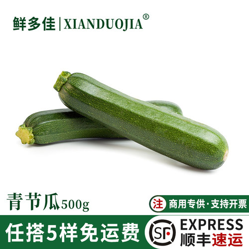 青节瓜新鲜蔬菜意大利青瓜西葫芦