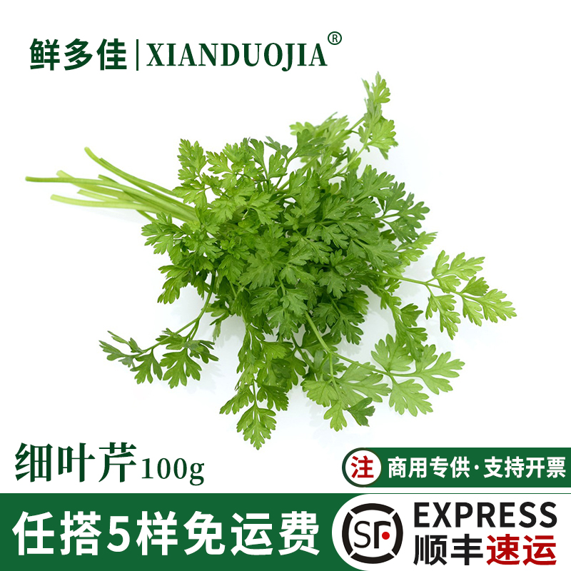 新鲜细叶芹雪维菜西餐食用香料
