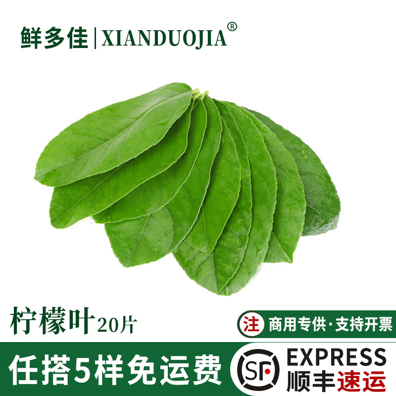 柠檬叶新鲜青柠叶泰国香料冬阴功汤原料鱼生佐料饮品柠檬奶茶原料