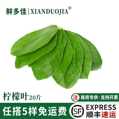 柠檬叶新鲜青柠叶泰国冬阴功食材