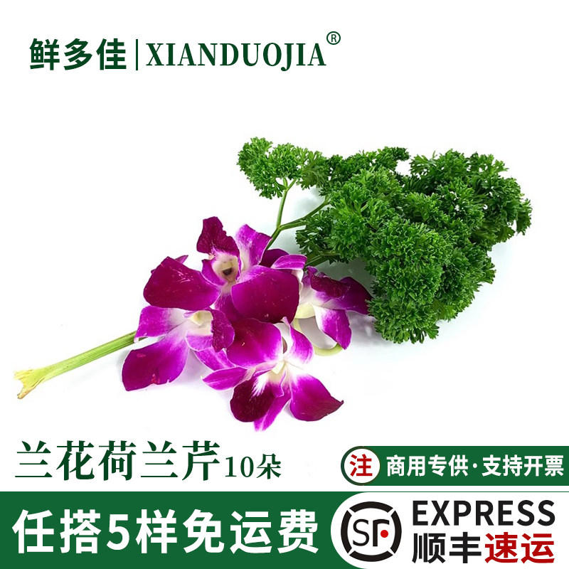 杨兰花新鲜荷兰芹法香洋兰花组合