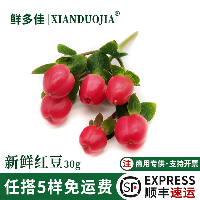 新鲜红豆相思豆30g西餐日料摆盘