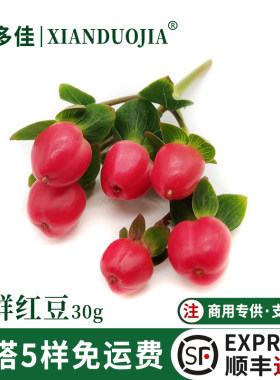 新鲜红豆相思豆30g西餐日料摆盘