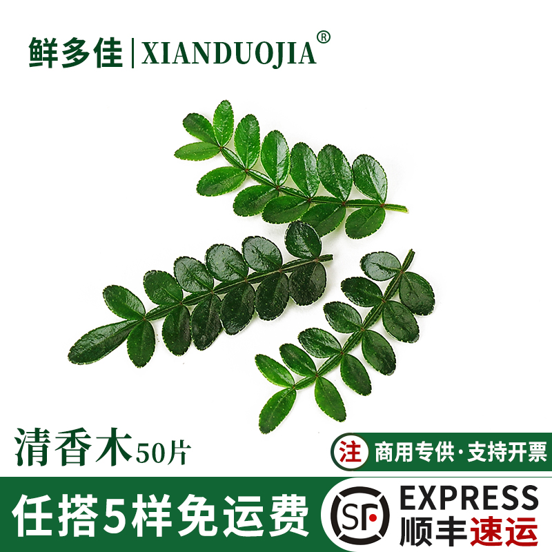 新鲜清香木叶子蛋糕装饰可食用