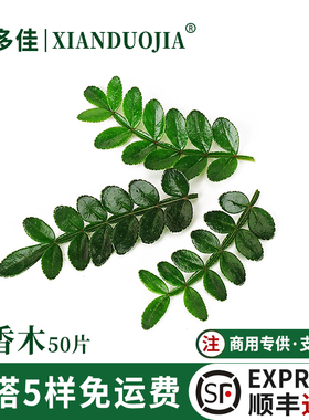 新鲜清香木叶子可食用蛋糕装饰烘焙西餐日料刺身摆盘花草胡椒木叶