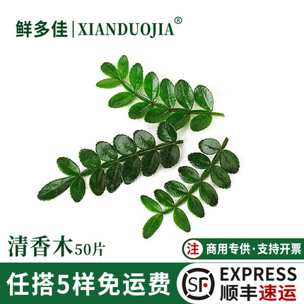 新鲜清香木叶子可食用蛋糕装饰烘焙西餐日料刺身摆盘花草胡椒木叶
