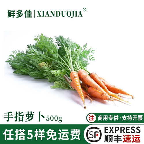 手指萝卜新鲜迷你胡萝卜西餐配菜