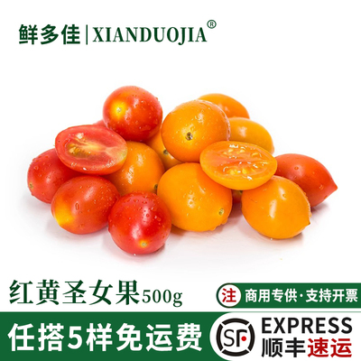 红黄圣女果新鲜彩色樱桃小番茄