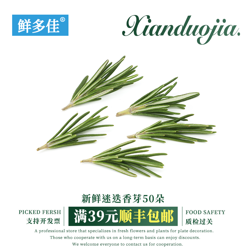 新鲜迷迭香芽可食用花草蛋糕装饰