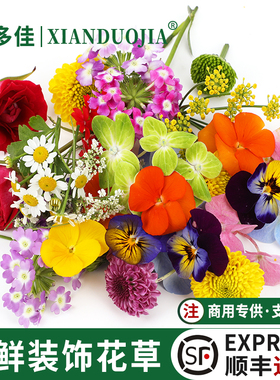 新鲜三色堇食用花玫瑰花摆盘装饰花草日料刺身烘焙蛋糕绣球花鲜花