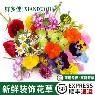 新鲜三色堇食用花装饰花草摆盘