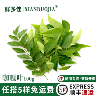 新鲜咖喱叶香料咖喱汁调味调料泰国餐厅九里香调料增香泰式原料