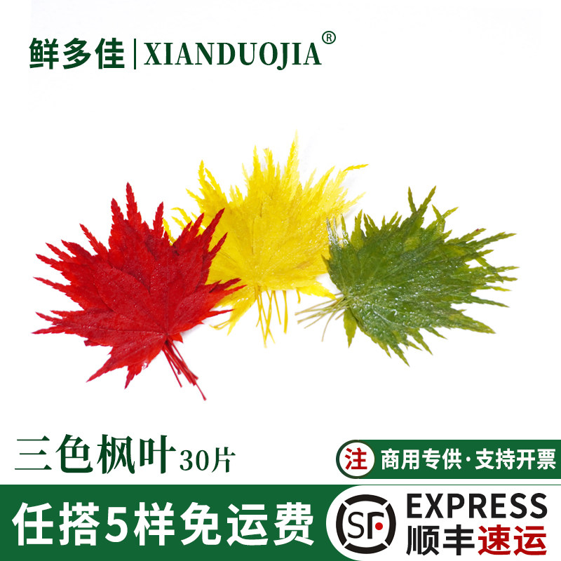 三色枫叶烘焙摆盘装饰