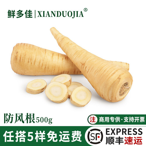 新鲜欧洲防风根parsnip蒲芹菜