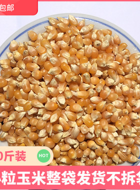 美顿宝小粒玉米鸽粮斑鸠观赏鸽