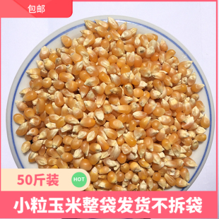 美顿宝小粒玉米鸽粮50斤爆米花圆球斑鸠仓鼠赛鸽信鸽 观赏鸽饲料