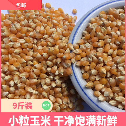 美顿宝小粒玉米鸽粮9斤爆米花圆球杂粮食鸽子赛鸽信鸽 观赏鸽饲料
