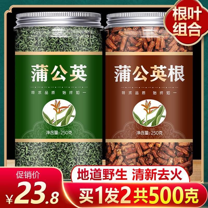 蒲公英茶新鲜野生中药干货正品特级茶叶纯根整株带根旗舰店长白山