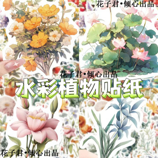 100张水彩植物涂鸦贴纸ins风小清新手账本手机壳桌面装 饰贴画