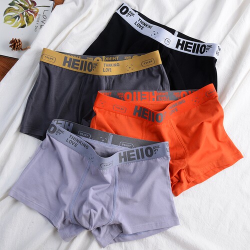 Boxer Men's Underwear BoxerShorts Man Cotton Underpants Brea