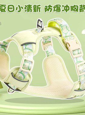 Adjustable vest style pet dog leash