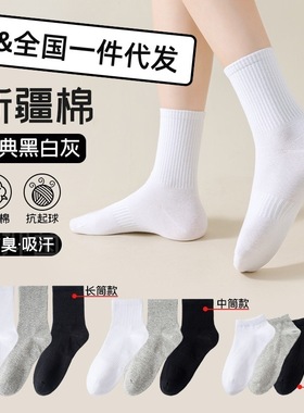 Socks - Men's/Women's - Stockings - Breathable