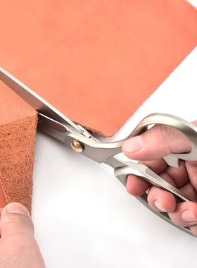 Household Big Size Stainless Steel Tailor Scissors Lkirsite