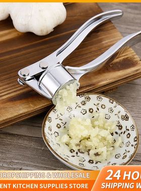 Stainless Steel Garlic Press Crusher Mincer Handheld Garlic