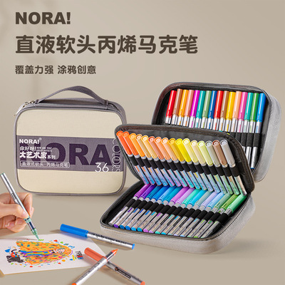 Direct liquid acrylic marker set for travel painting