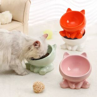 Tilted Elevated Ceramic Cat Bowl Cute Anti Black Chin Pet Fe