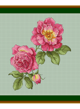 法国DMC十字绣套件植物花卉 A1372玫瑰花 浅绿色布 简单好绣