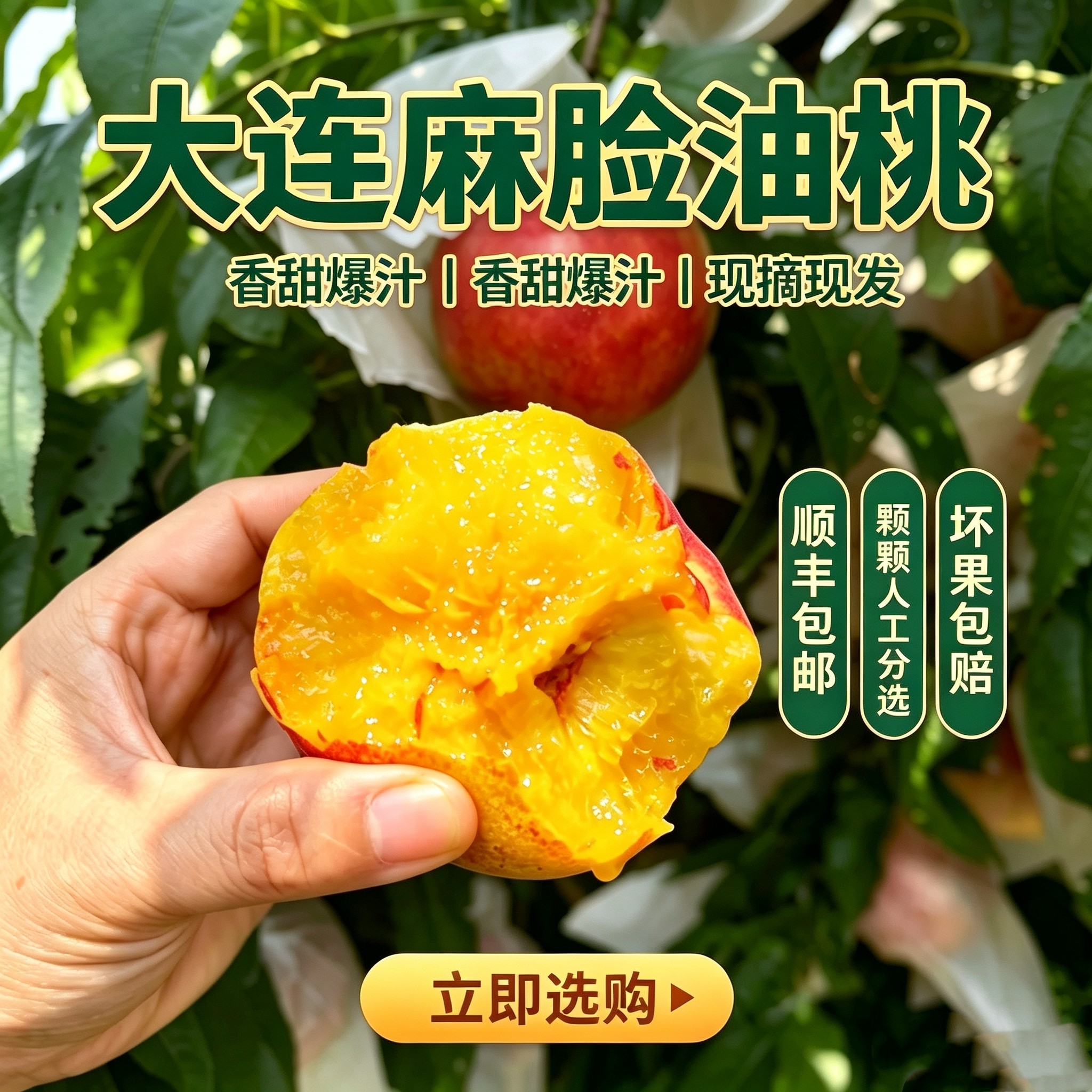 大连正宗麻脸黄心丑油桃离核特大脆甜现摘现发应季水果顺丰包邮