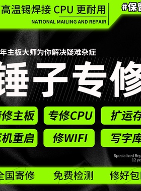锤子坚果手机 pro3  R1 R2  DT1901A pro2s 主板维修不开机维修店