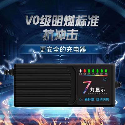 自动断电绿能电动车电瓶充电器48V12AH60V20AH72V30安N型专用插孔