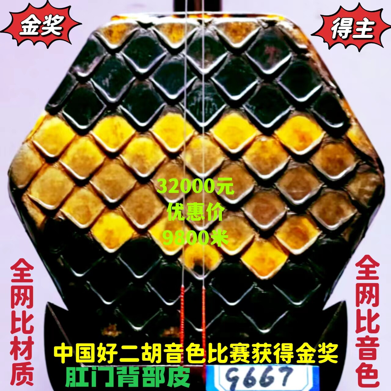 捡大漏〔全国金奖〕韵声琴坊老料印度金星小叶紫檀二胡肛门背部皮