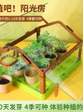 种植育苗水果蔬菜花类迷你阳光房