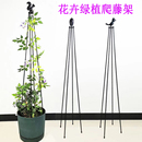 支撑爬藤花架 四角花架铁线莲茉莉花造型塔型支架户外阳台园艺月季