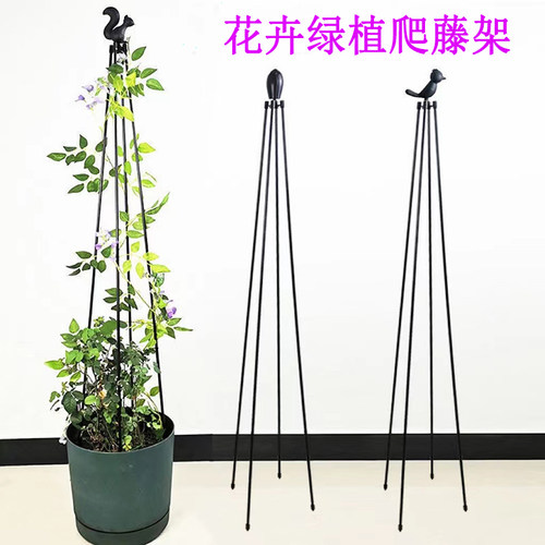 铁线莲茉莉花造型塔型支架