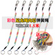 彩色弹簧绳强力拉伸尼龙内芯防丢男女钥匙链扣腰挂绳子卡套失手绳