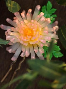 【十二花神之菊花】热缩秋菊发簪花簪国风发簪u钗簪中式汉服配饰