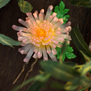 【十二花神之菊花】热缩秋菊发簪花簪国风发簪u钗簪中式汉服配饰