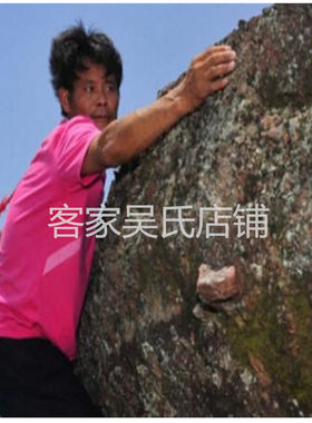 大三阳乙型丙型中草肝茶小三阳阴茶转氨酶胆红素硬的化