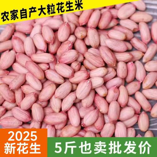 2025年农家山东5斤红皮花生米