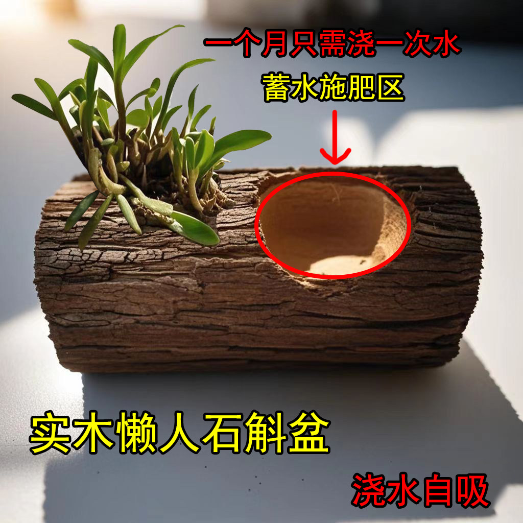 懒人石斛花盆 自吸花盆 木槽石花盆