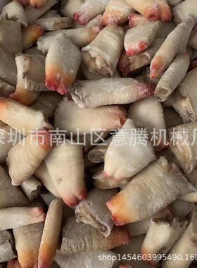 广西南宁包子冻柜 鸡排柜海鲜肉制品速936食冻 商用大容量速速冻