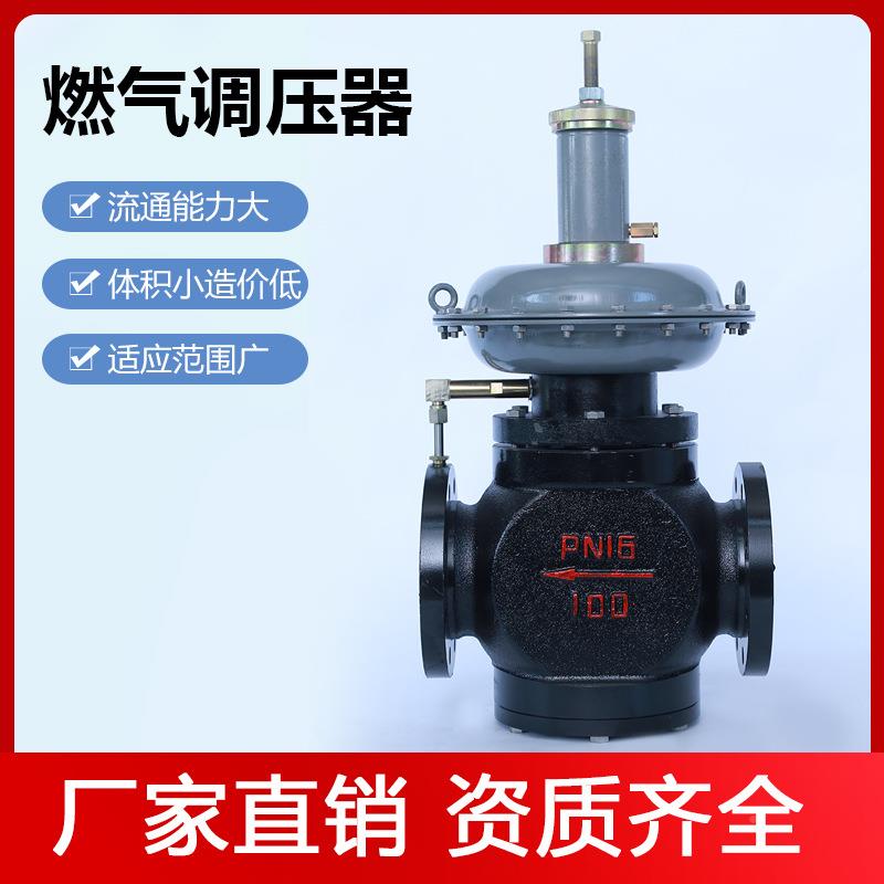 管道式 天K然气RKSSTZ-DN50 减阀 调压器燃气锅压炉煤气稳压恒压