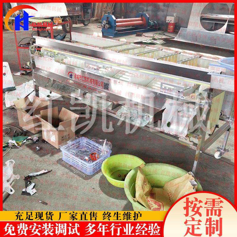 龙眼分选机备设 分轨机道式选果分选机红凯 大小可调不伤果级设备