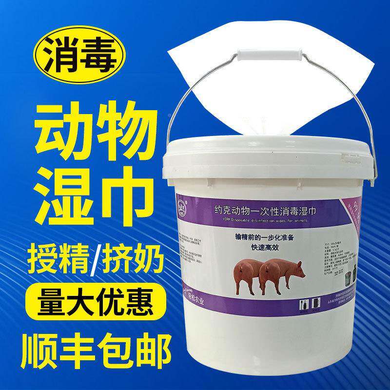 动物用次性消湿巾母猪工NUM授精输精一采精奶牛挤奶清洁毒人采精