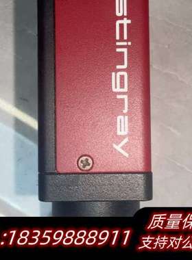 ALLIED AVT Stingray F-504BNI询价